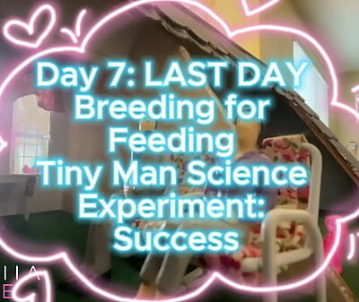 Day 7: LAST DAY of Breeding for Feeding Tiny Man Science Experiment: Success